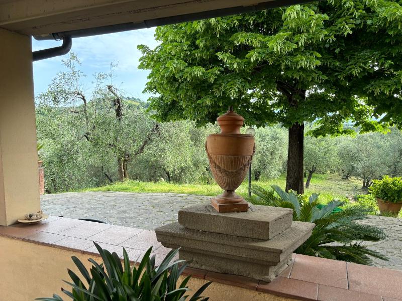Vista ingrandita