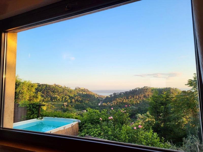 Vista ingrandita