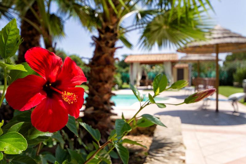 Alghero Villa Morena with exclusive swimming pool and large garden