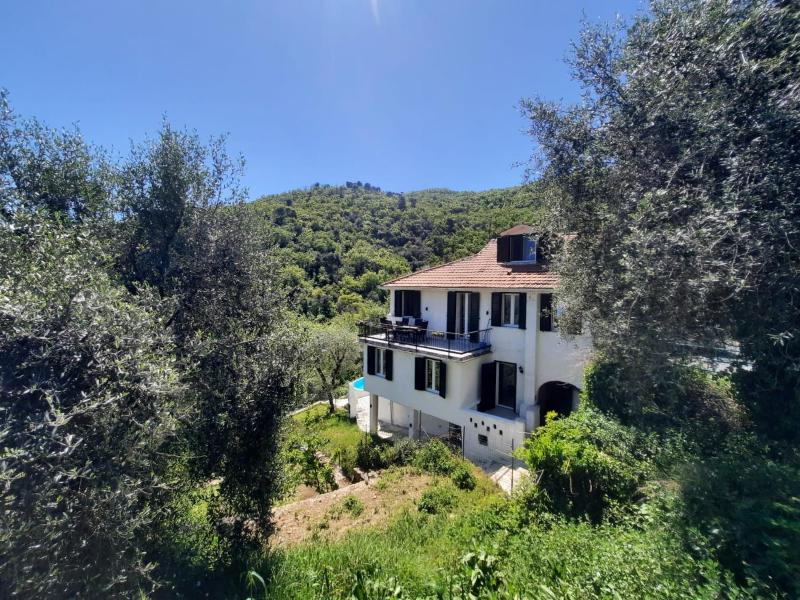 "Blue Villa" with private pool,BBQ in Andora