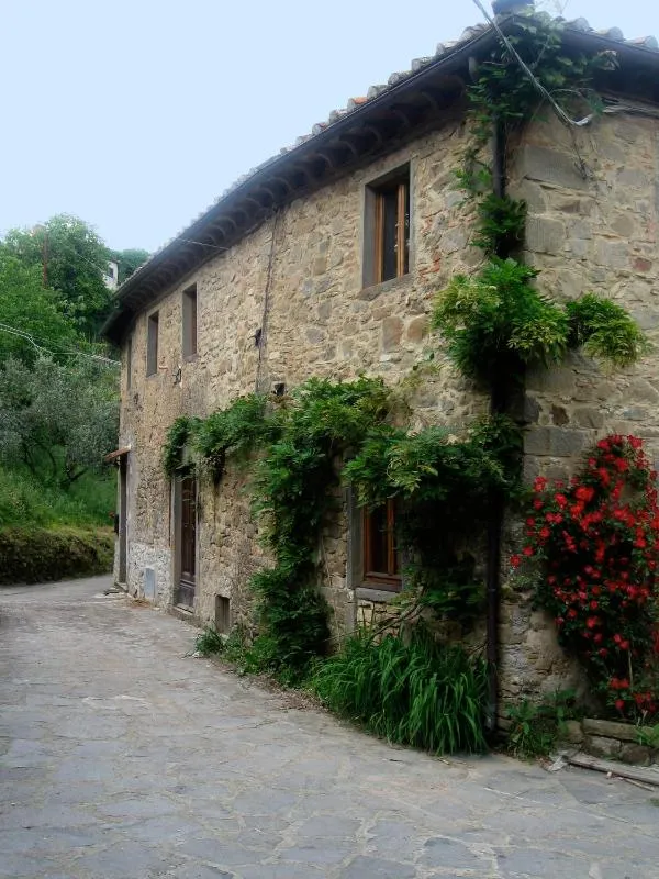 Vista ingrandita