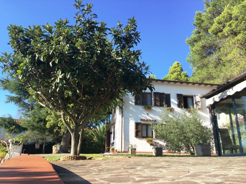 Vista ingrandita