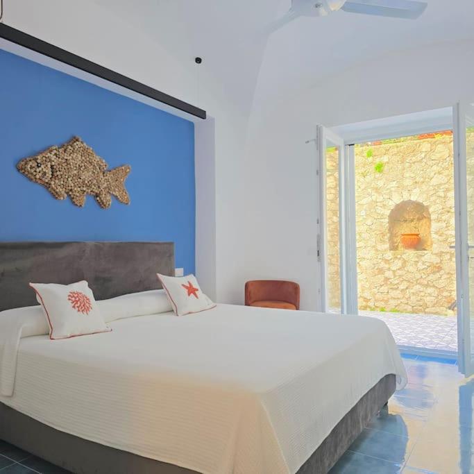 Casa Infinito