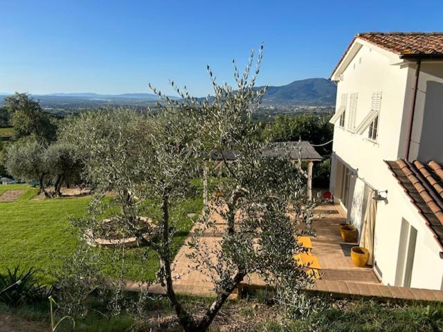 Vista ingrandita