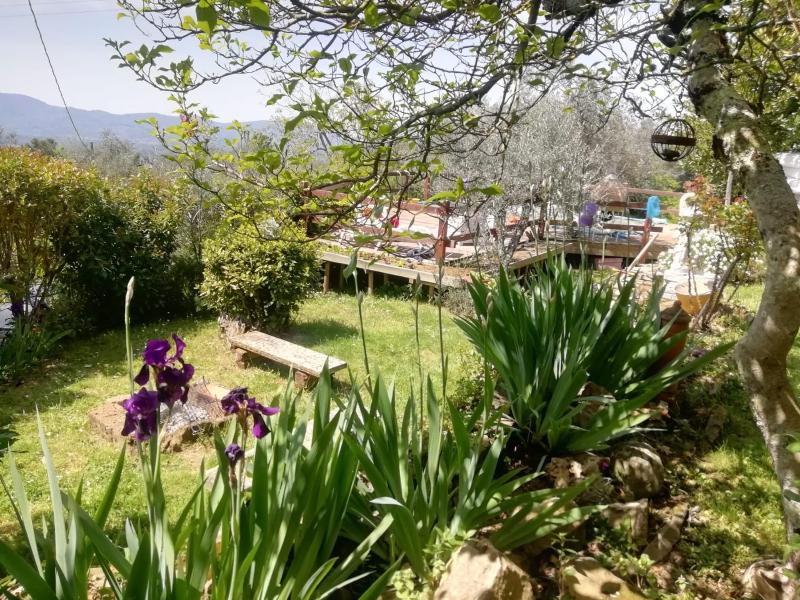 Vista ingrandita