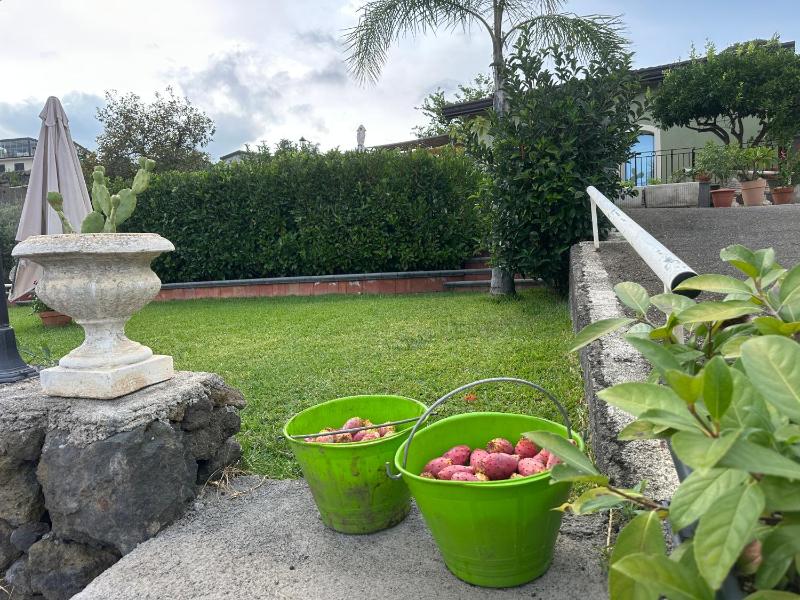 Casa Verde Ulivo