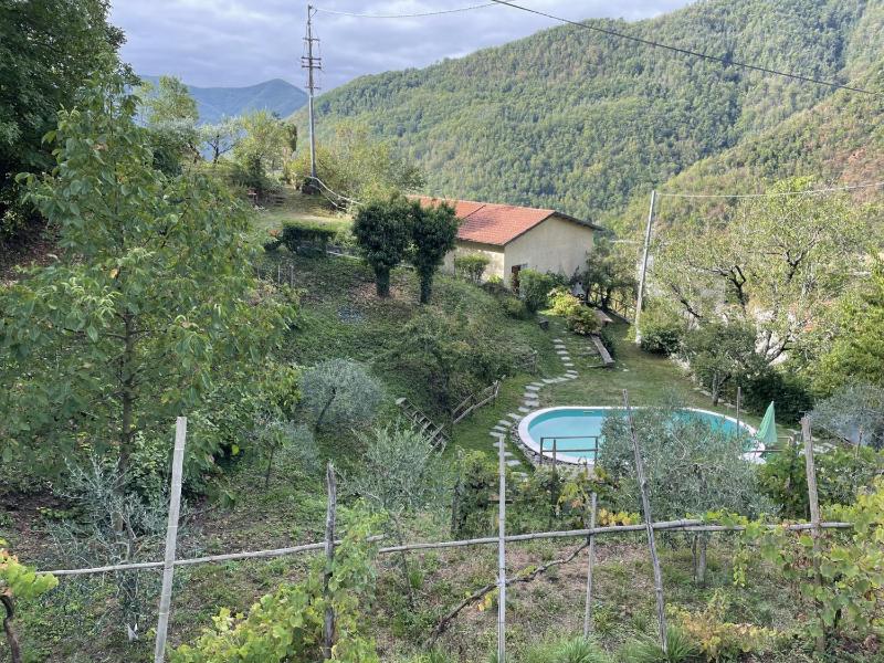 Vista ingrandita