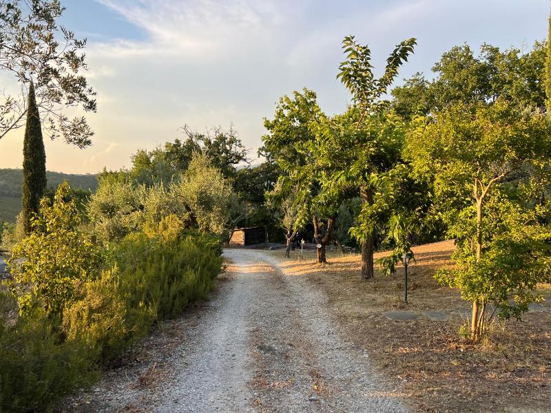 Casale Delle Querce farmhouse in Giove Umbria with pool