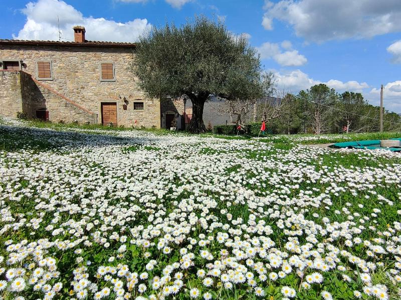 Casale Le Sette Vene