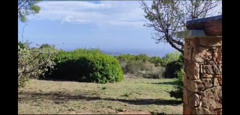 Vista ingrandita