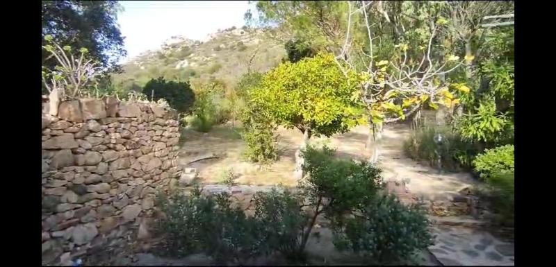 Vista ingrandita