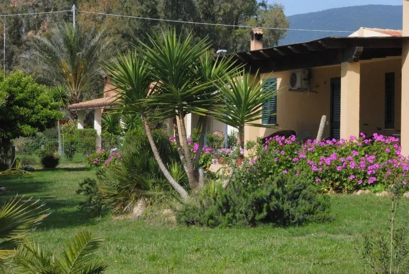 Vista ingrandita