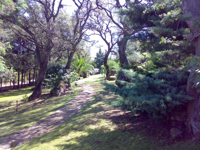 Vista ingrandita