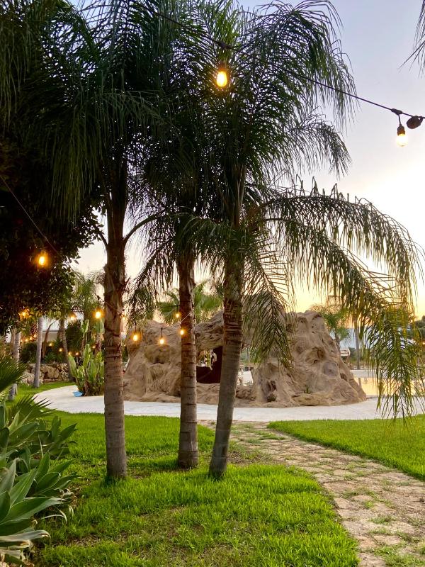 Holiday in Paradise