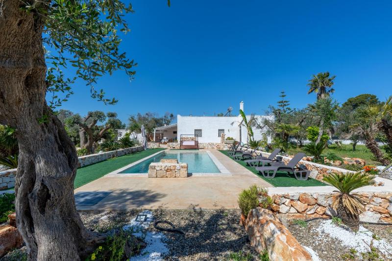 Il Canto della Cicala