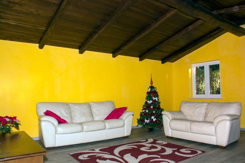 IL CICLAMINO POOL FOR YOUR SOLE USE BIG IN-GROUND - 70m2 house & 300m2 outdoor, child & pet friendly, 10 minutes drive to Montebello Station connecting to Rome centre in 20 minutes, 3 minutes drive to supermarket -4 language warm guest care