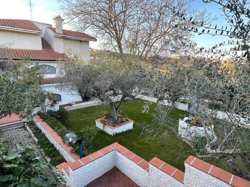 Il Giardino degli Ulivi