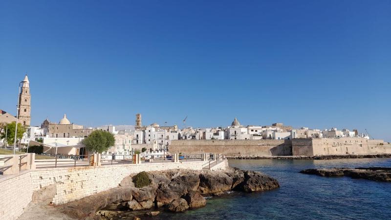 Il Vecchio Carrubo - Villa con piscina a sfioro