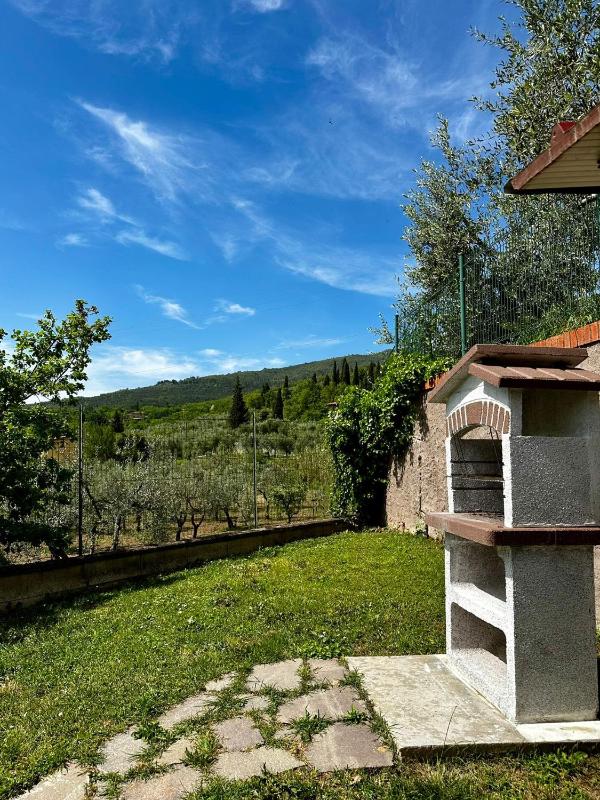 Vista ingrandita