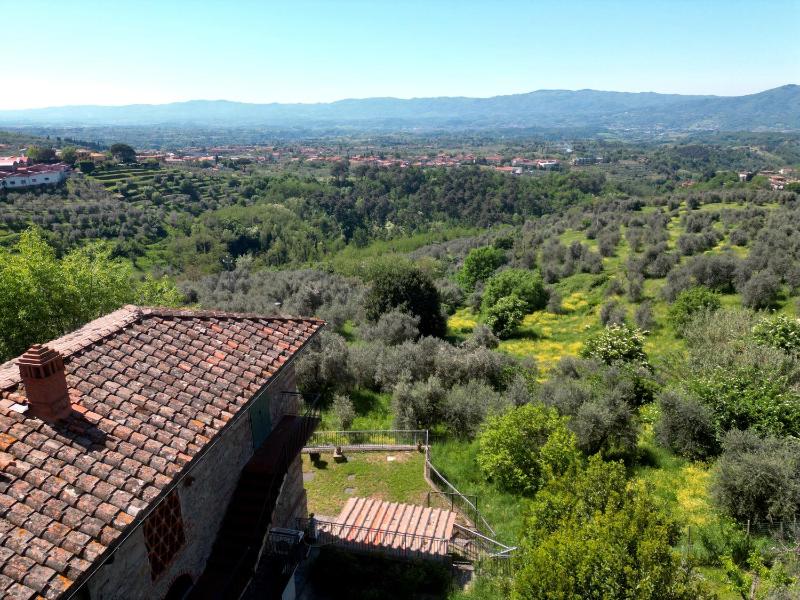 Vista ingrandita