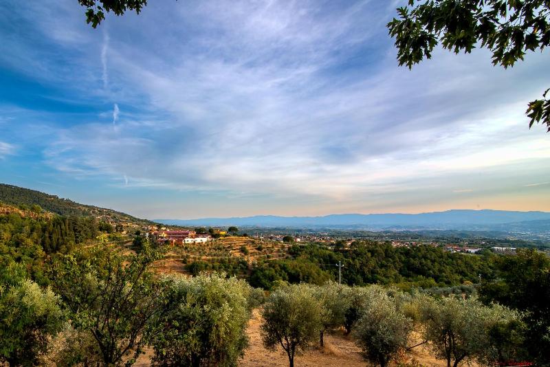 Vista ingrandita
