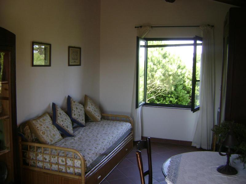Vista ingrandita