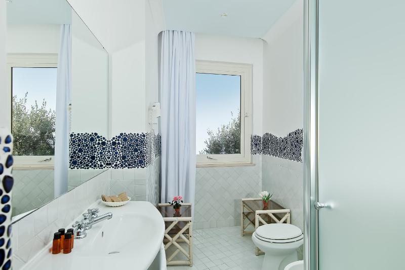Luxury Villas Positano