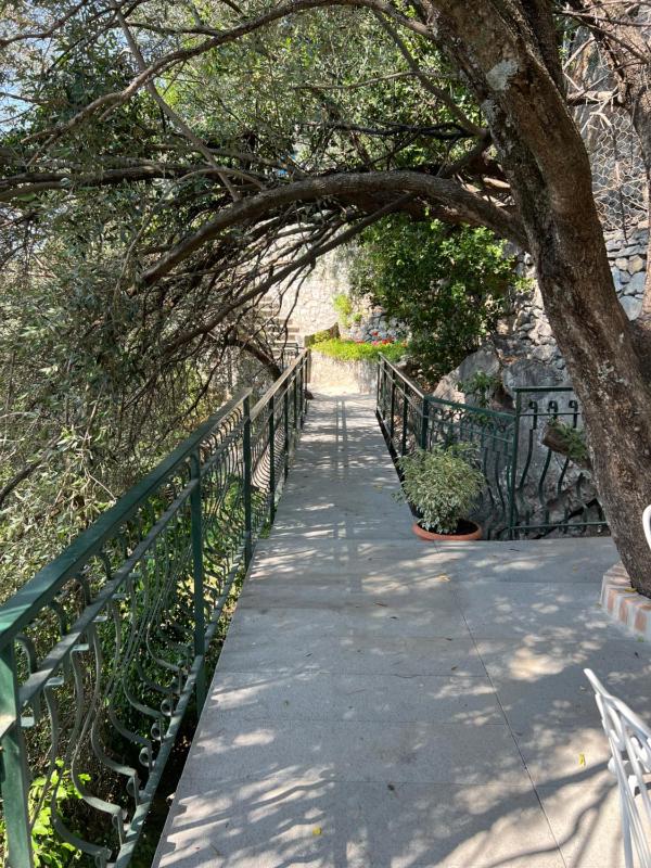 Luxury Villas Positano