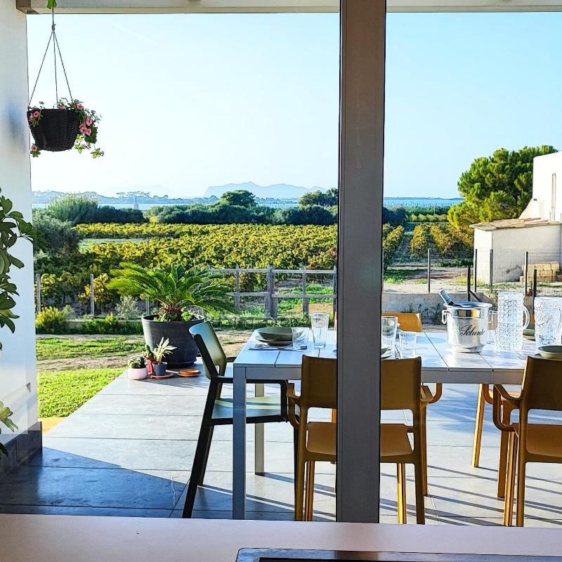 Martina's Vineyard - villa