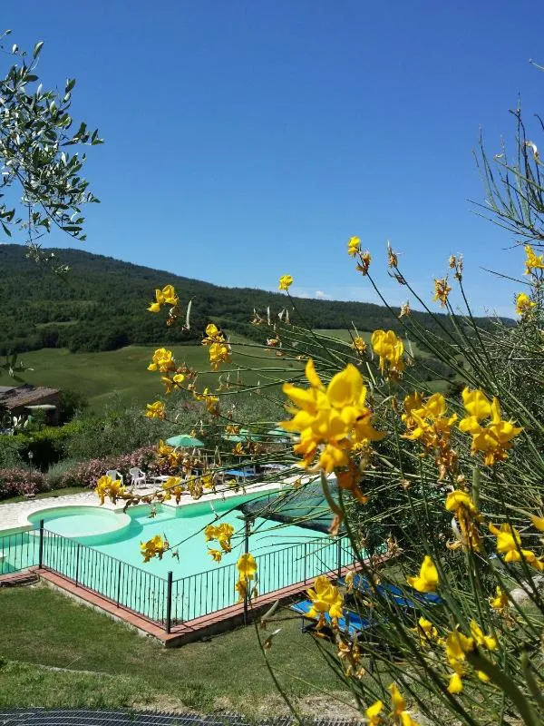 Vista ingrandita