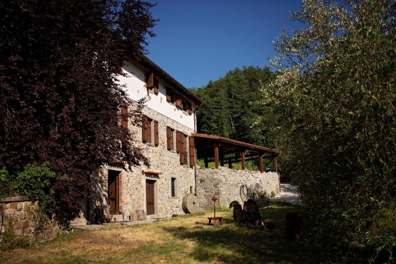 Vista ingrandita