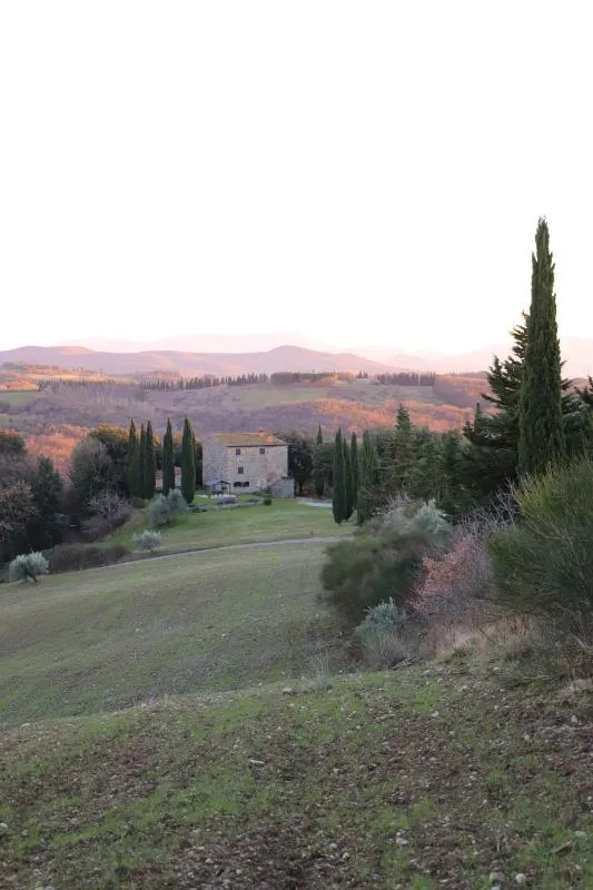 Vista ingrandita