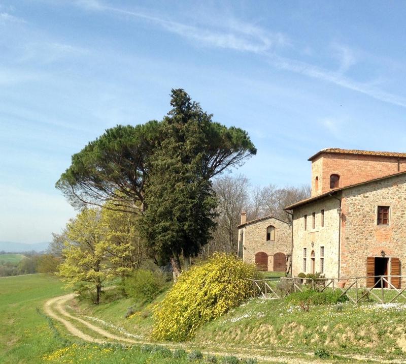 Vista ingrandita