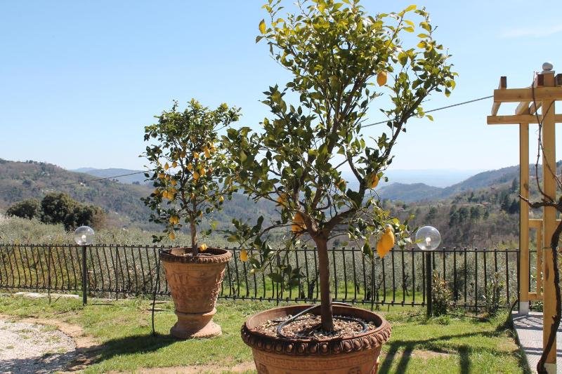Vista ingrandita