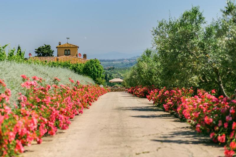 Vista ingrandita