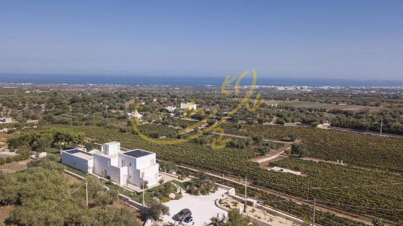 TD Casale Donna Madia Sea View Pool Over Vineyard