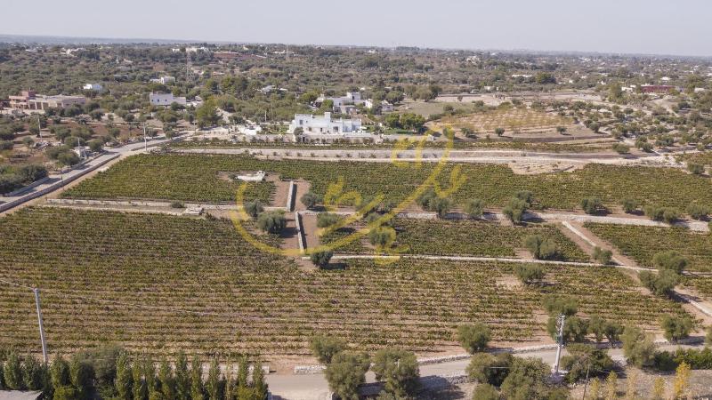 TD Casale Donna Madia Sea View Pool Over Vineyard