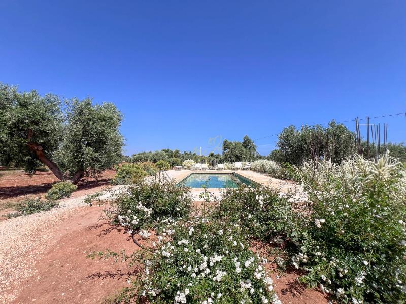 TD Torretta Macramè amid the Mediterranean scrub