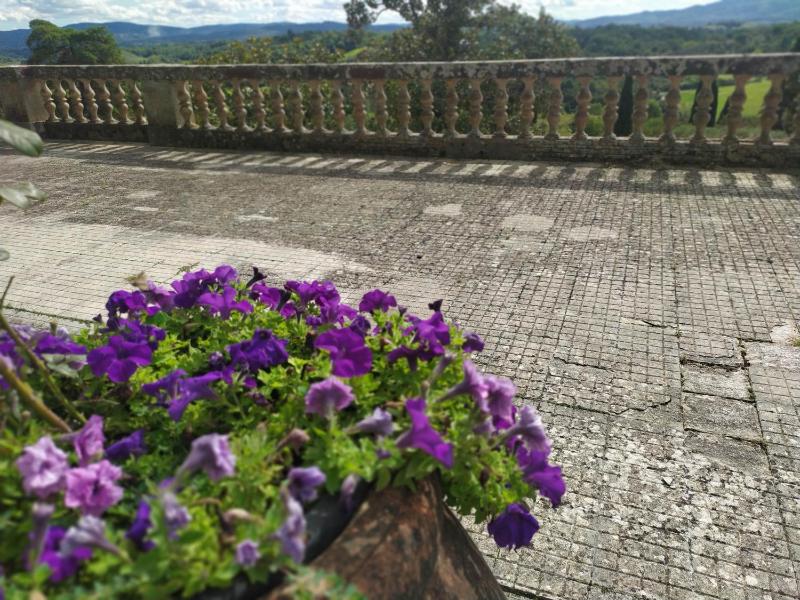 Vista ingrandita