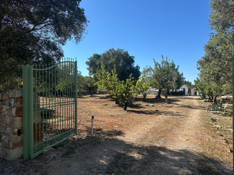 Trullo Alberico, immerso nella natura
