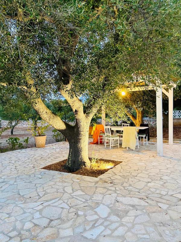 Trullo Sasamaka Ostuni