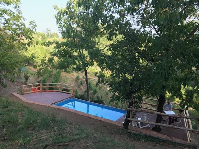 Vista ingrandita