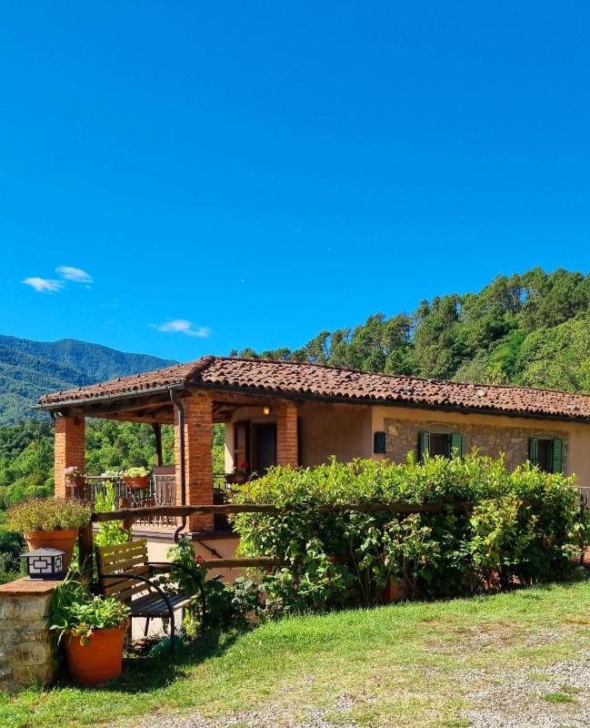 Vista ingrandita