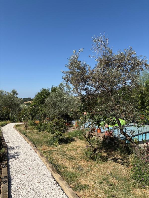 Vista ingrandita