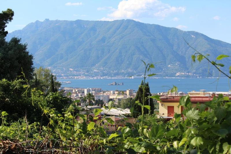 Villa delle Rose