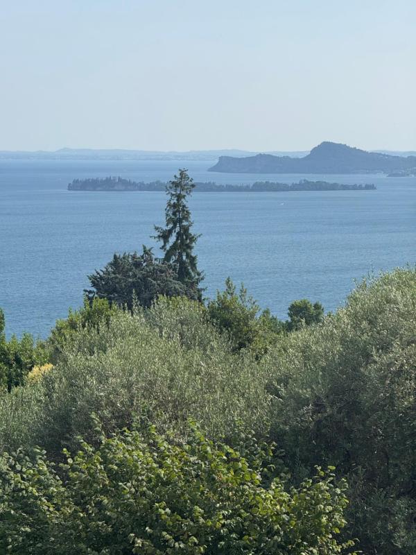 Villa Diamante del Garda & Spa