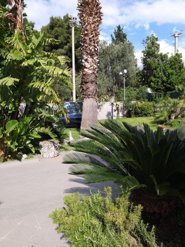 Villa Elena