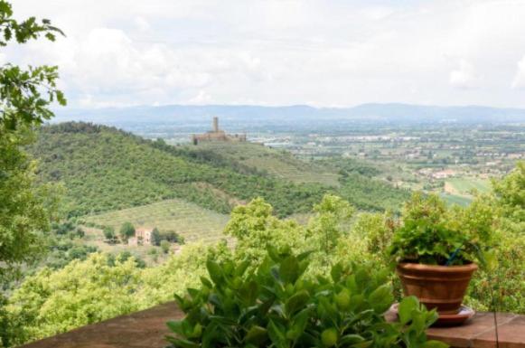 Vista ingrandita