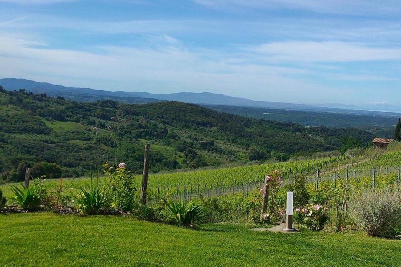 Vista ingrandita