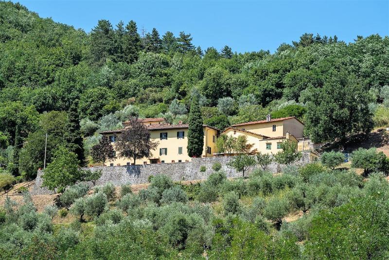 Vista ingrandita